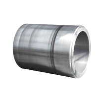  Special Forgings-Long axis
